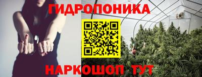 спайс Гай