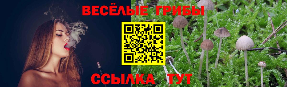 Псилоцибиновые грибы прущие грибы  Вход с VPN  Мирный 